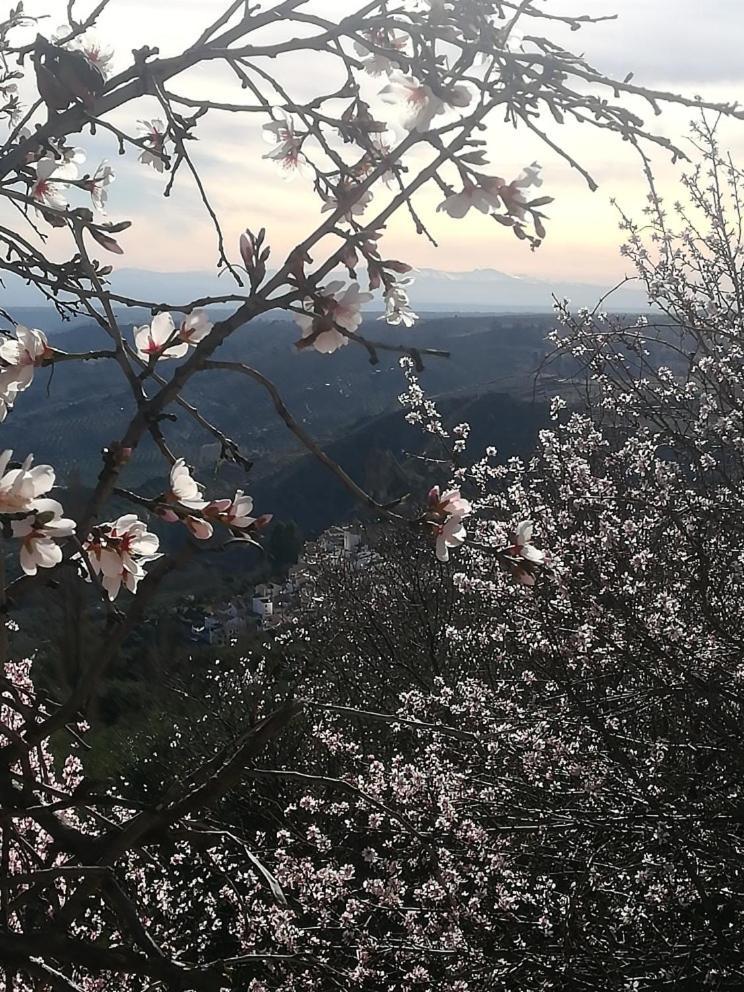 El Mirador De Castril - Granada Villa ภายนอก รูปภาพ